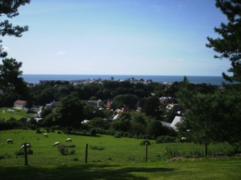 View from National Library